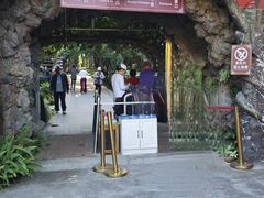 -瑞丽独树成林风景区