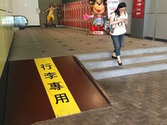 -捷运美丽岛站(The Dome of Light)
