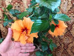 -沐泷泉(阳光店)