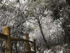-金子山原生态旅游风景区