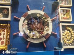 -海合安青岛极地海洋公园