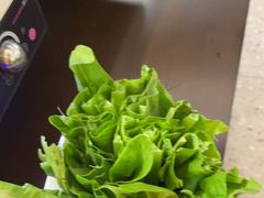 -老房老舍重庆火锅(假日城市店)