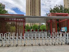 -大望京公园