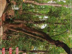 -岳麓山风景名胜区