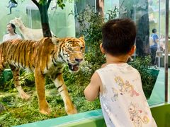 -国家自然博物馆