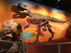 -北京科学中心儿童乐园