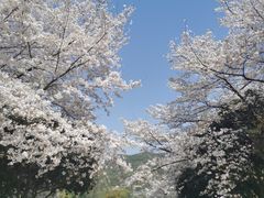 -杭州少年儿童公园