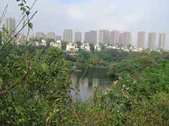 -重庆彩云湖湿地公园