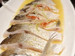 清蒸白鱼-锡和无锡菜·三白油条(景丽苑店)