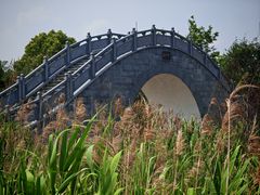 -漩门湾国家湿地公园