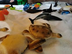 点击看大图 -超级奈尔宝SUPER NEOBIO(杭州星光店)