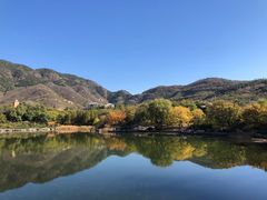 -国家植物园南园