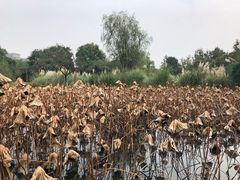 -成都中医药大学(温江校区)