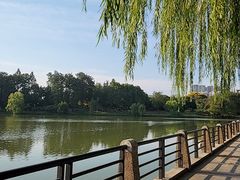 -月湖风景区
