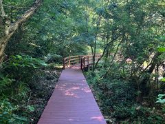-天明山温泉大酒店