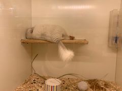 -龙猫仔乐园(惠福东路店)