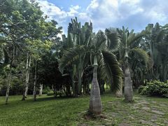 -中国科学院西双版纳热带植物园