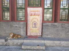 门面-重庆秦妈火锅(全国连锁五台山店)