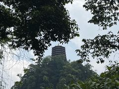 -青城山