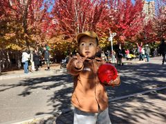 -辽宁大学(崇山校区)