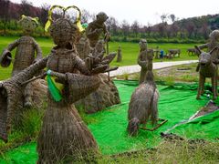 -建华生态湿地百荷园