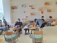 -藏猫猫咖啡主题馆(中央大道店)