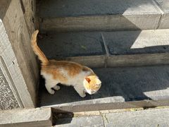 -四门塔风景区