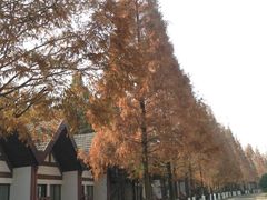 -太阳岛度假酒店