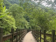-凤栖山