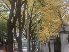 -元大都城垣遗址公园