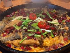 -老板恋上鱼(恒隆广场店)