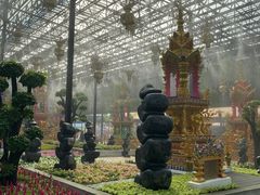 -东芭乐园