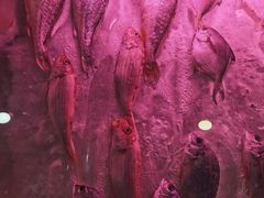 -廣味潮鲜·一品潮滋味(五道口店)