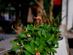 -一江春水·杭帮臻宴(三台山店)