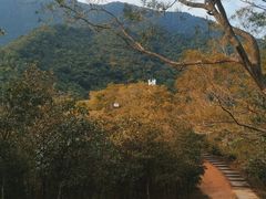 -梧桐山风景名胜区