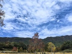 -塔川景区