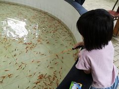 -杭州少年儿童公园