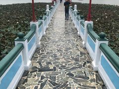 -龙虎塔