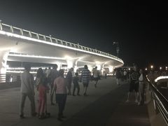 -演武大桥观景平台