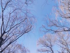 -菖蒲河公园