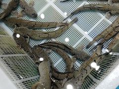 -新享乐海鲜(翠华路店)