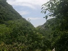 -太平万花山景区