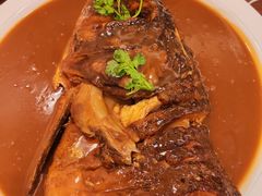 -鲁宴·鲁煨黄河生态大鲤鱼(月坛店)