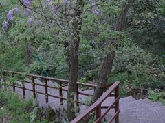 -大蜀山国家森林公园