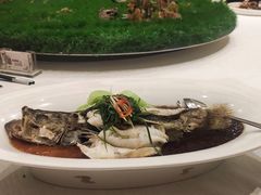 -鞍山大白鲨美食酒店