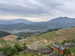 -紫鹊界梯田景区