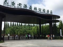 -黄海国家森林公园