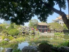 -顺峰山公园