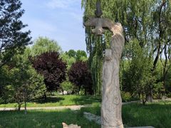 -石家庄市植物园