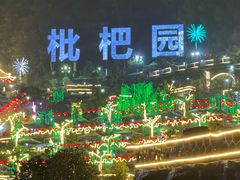 -枇杷园食为鲜火锅(南山店)